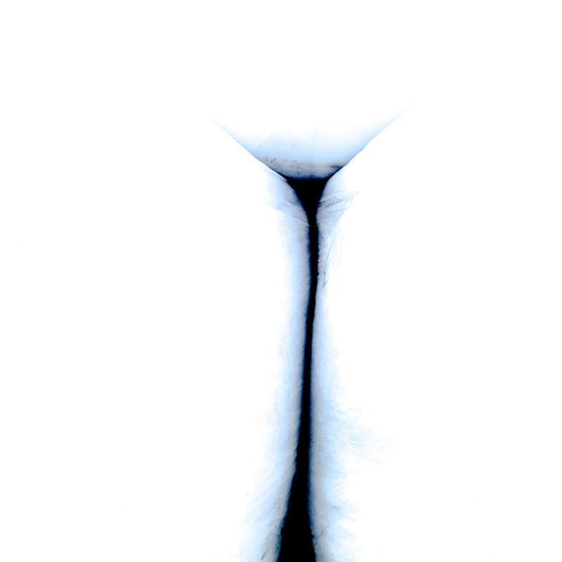 Sk&aring;l! | Veggbilder | Fotokunst til salgs | Kunstfoto | Kunst | Foto | Bilde
